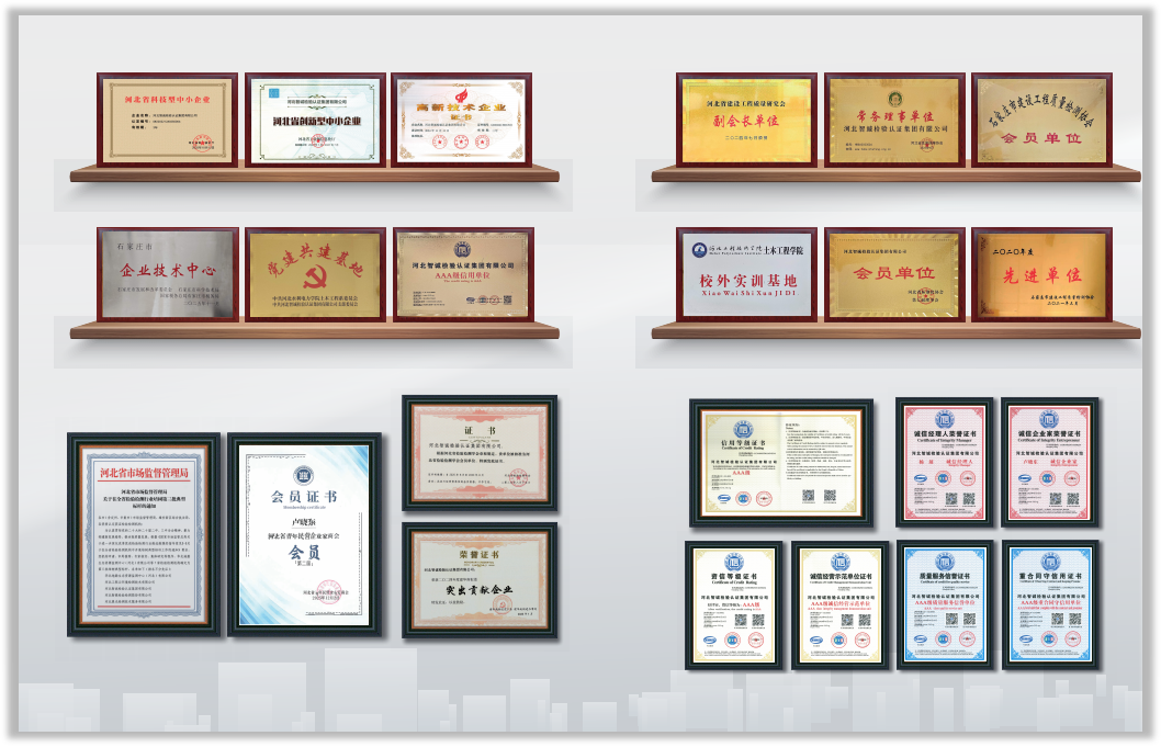智诚集团荣誉证书与荣誉牌匾展示
